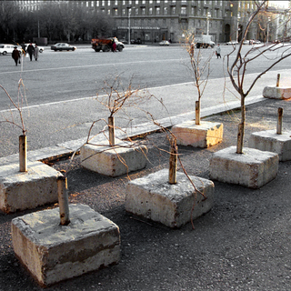 003 Озеленение. Волгоград