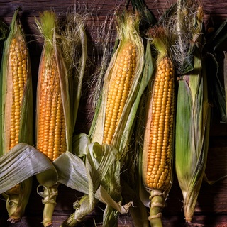 bikulov_rus_0079_web