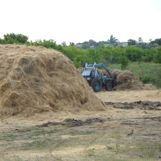 привольное 2009г 257