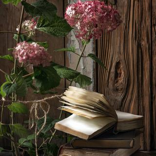Vintage still life with books, scissors and pink hydrangea flowers