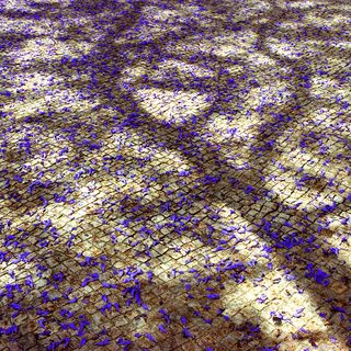 009 Весна в Лиссабоне.