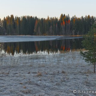 Андреапольские озера 16