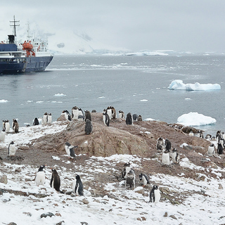 Антарктический пейзаж с пингвинами и кораблем
