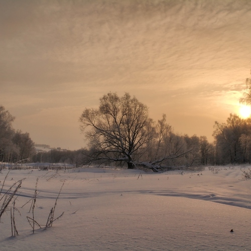 Зима остается в силе / Все в снегу