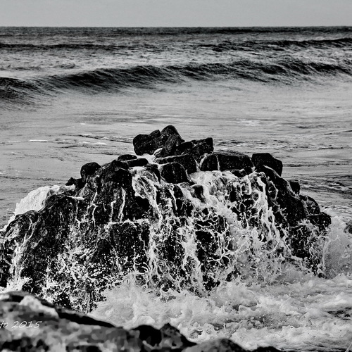 IMG_8421-1 / Морские пейзажи