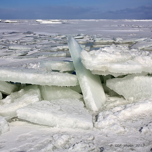 IMG_4501-001 / Зима