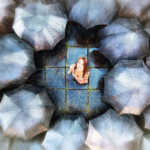 Rain / Цветущие