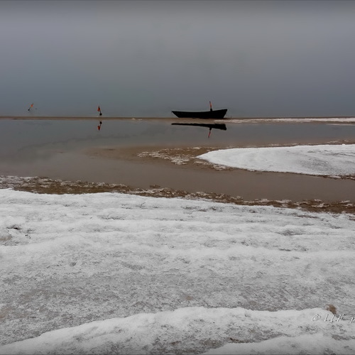 20170204_153329_000 / Зима