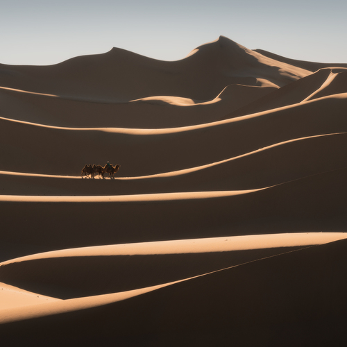 DSC_1124-Editjj / Монголия. Пейзажи