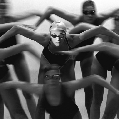 8SFSC / Девушки - Рыбы и птицы