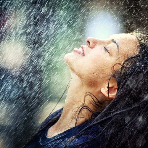 Вероника Алексеева  / Цветущие