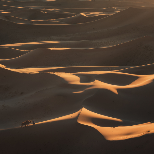 DSC_2017оо / Монголия. Пейзажи