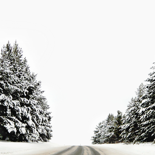 DSCN3318 / Мгновенье