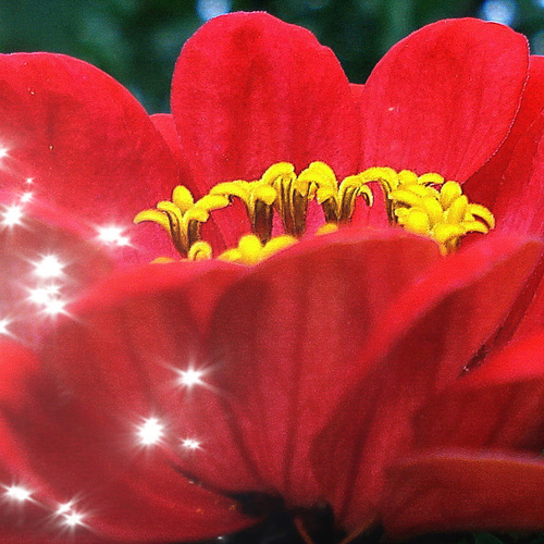 123 / Открытки