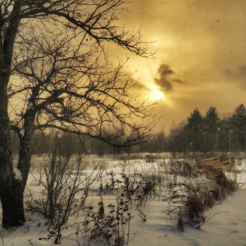 Зима.Закат / Все в снегу