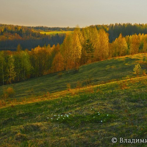 Андреапольские озера 10 / Андреапольские озера