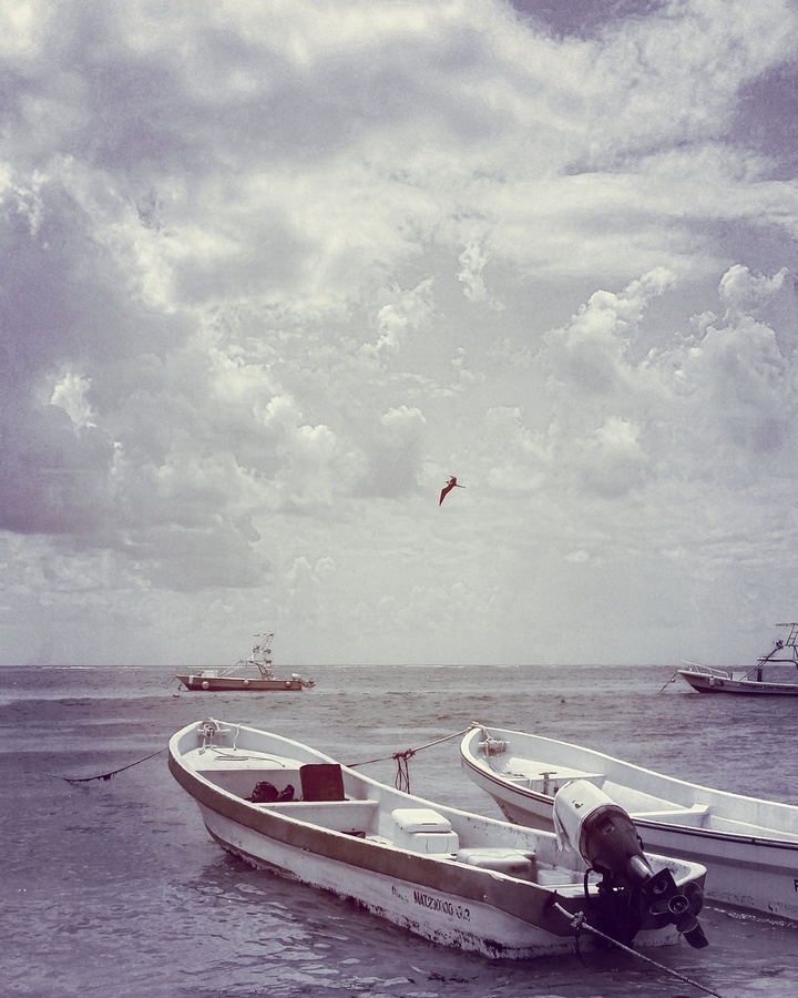 IMG_20170510_000136_784