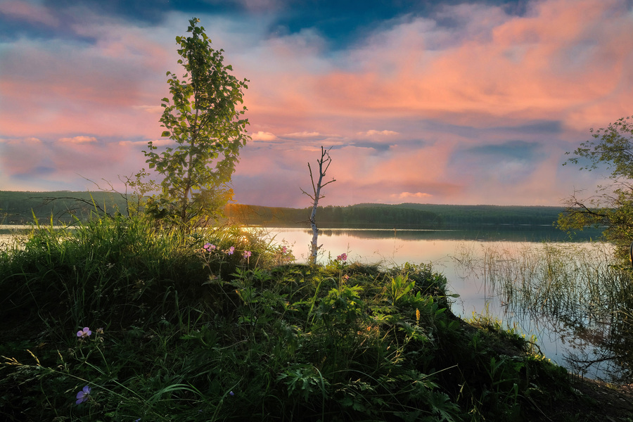 Ранним утром