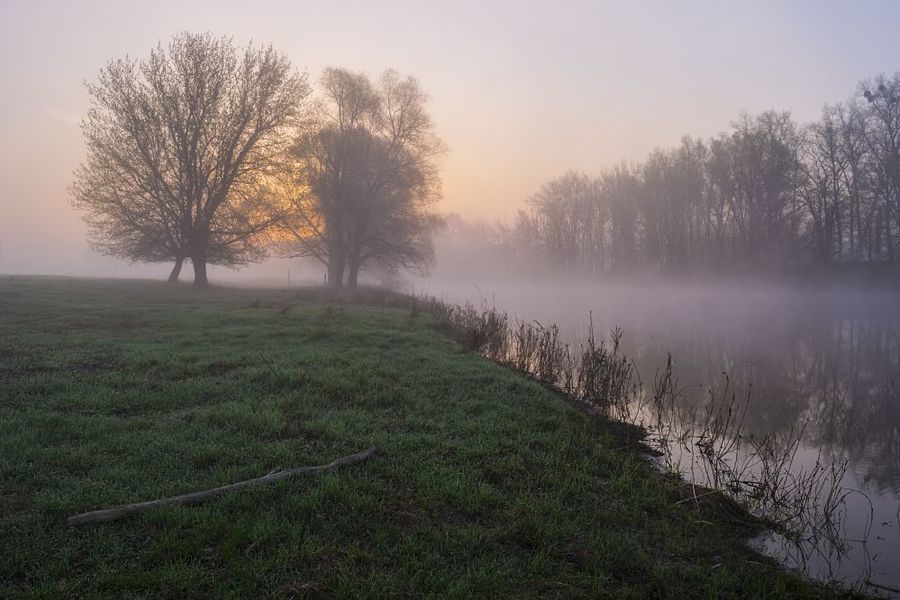 Туманное утро на реке Псел