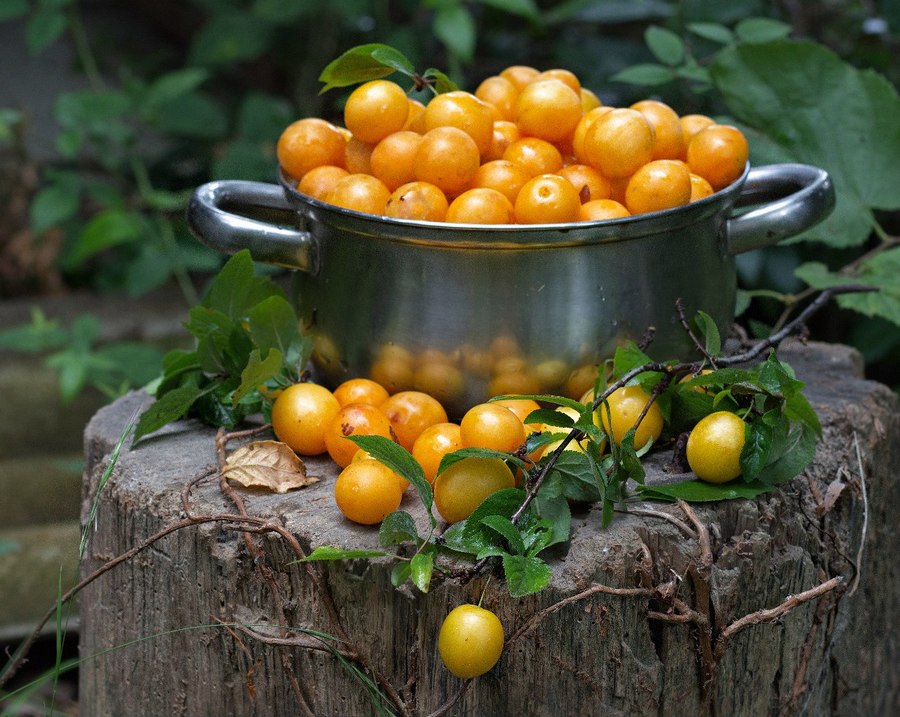 Надежда Новахова