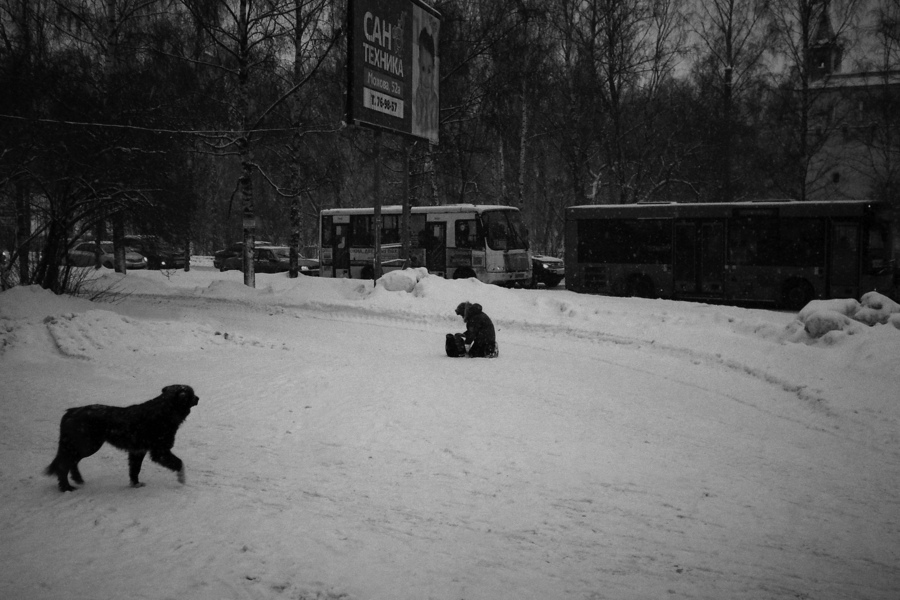 Зима...  Собака...Мальчик...