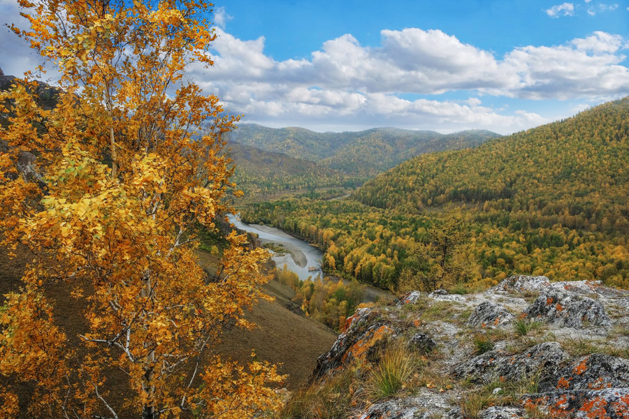 Художник Осень