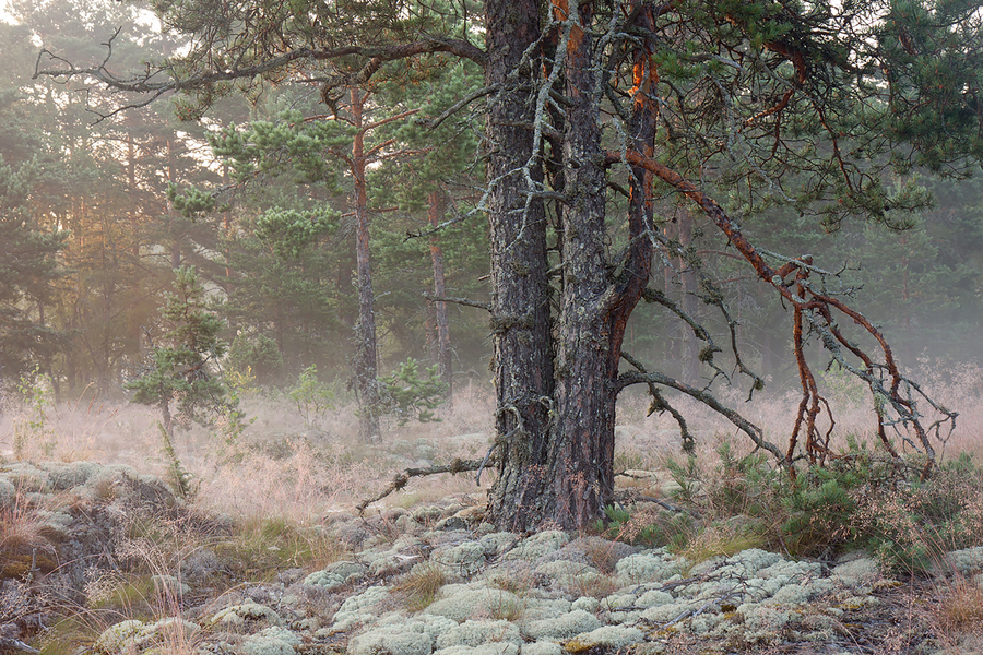 691bd170-d388-4aad-8eba-be79a0d3d573