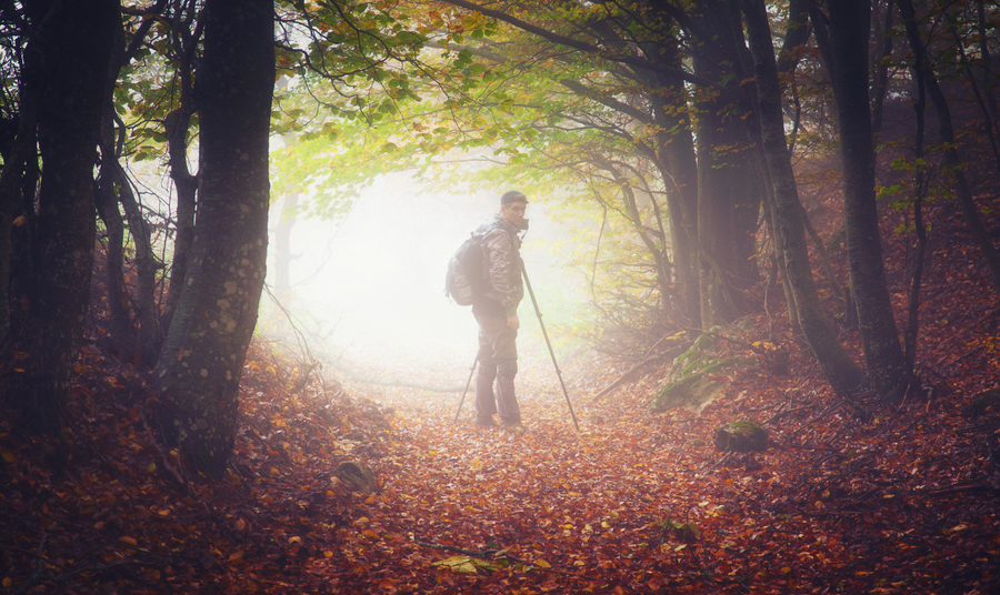 mercurydog_img_8708a1