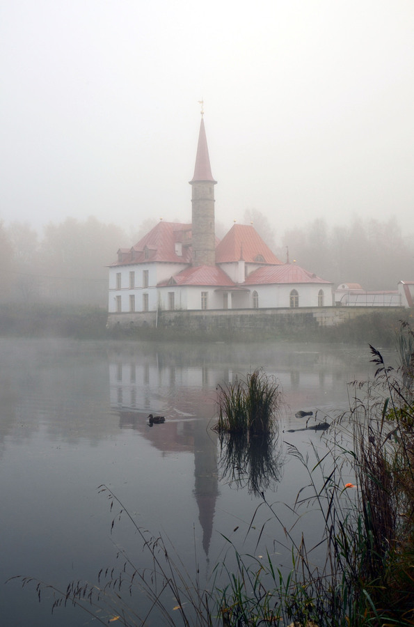 Седое утро