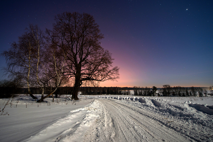 big tree with winter road in night