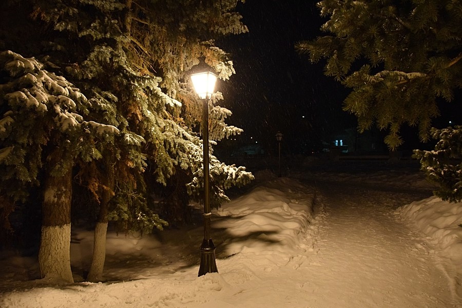 041 фонарь и ель