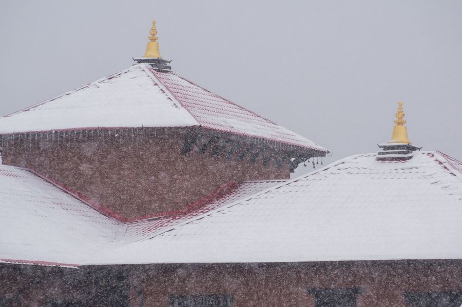 D5500_Praktika_Architecture_010