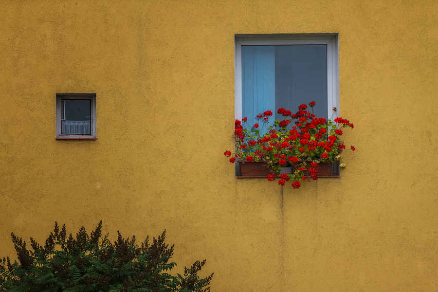 Александр Тутаев_Разные окна