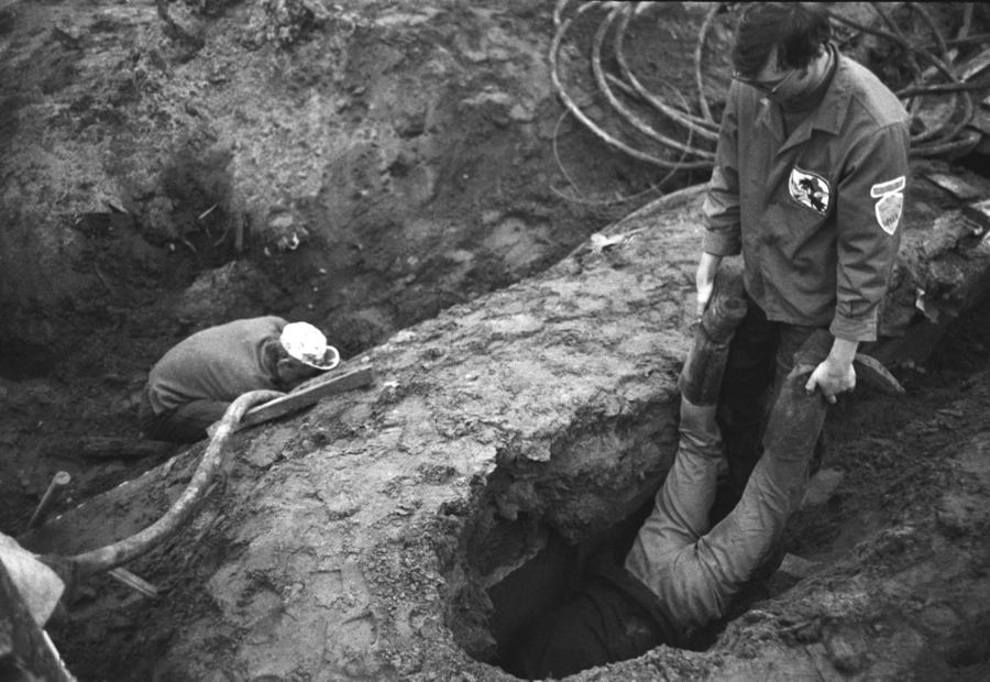 015 ССО на Сахалине.