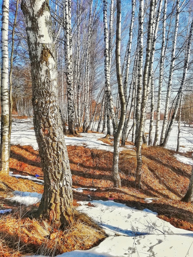 IMG_20190408_084128-01