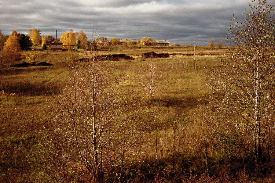 Рыжая красавица...