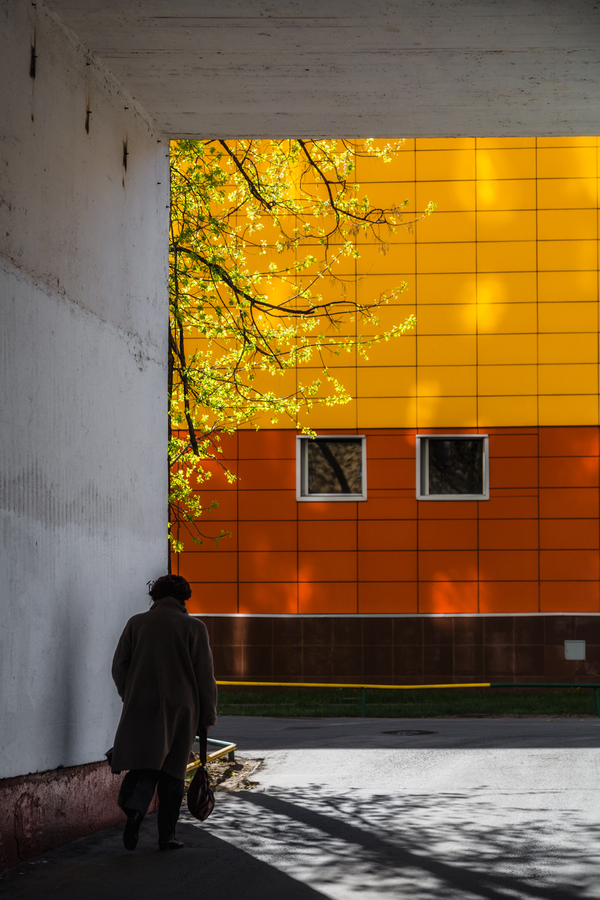 Александр Тутаев_Без названия5