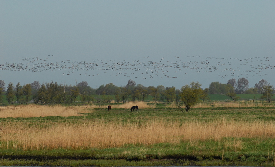 005 Германия. Где-то на севере...