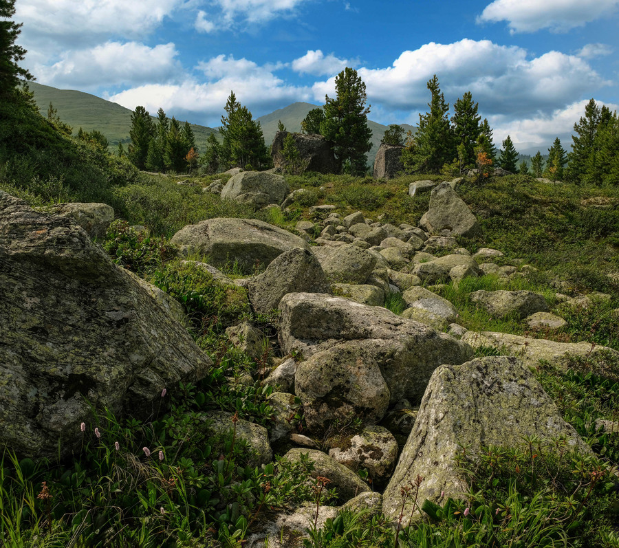 Парк Ергаки,курумник