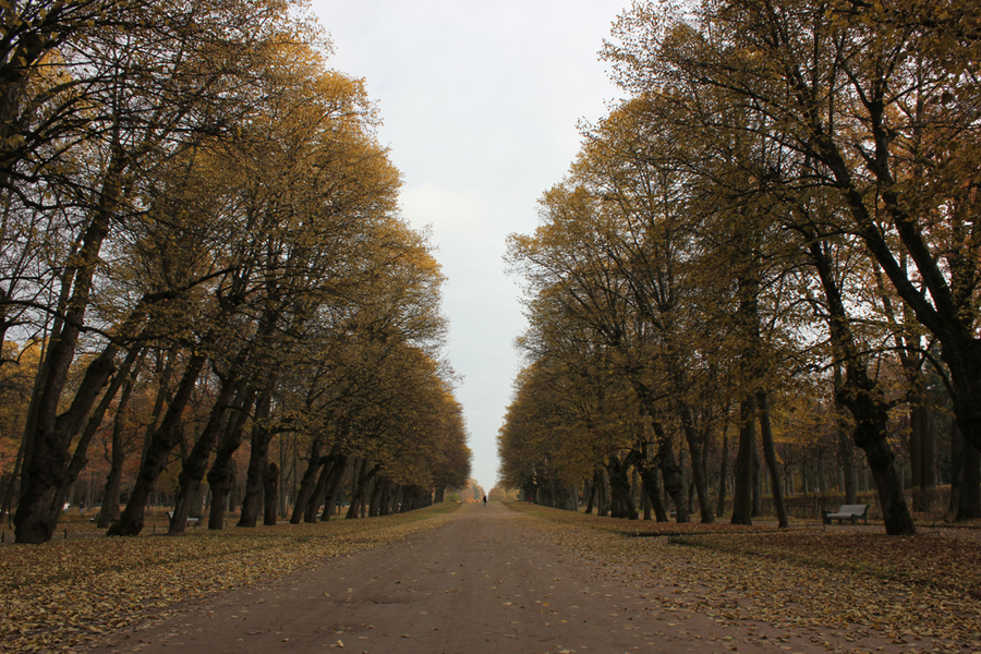 Осенний Павловск