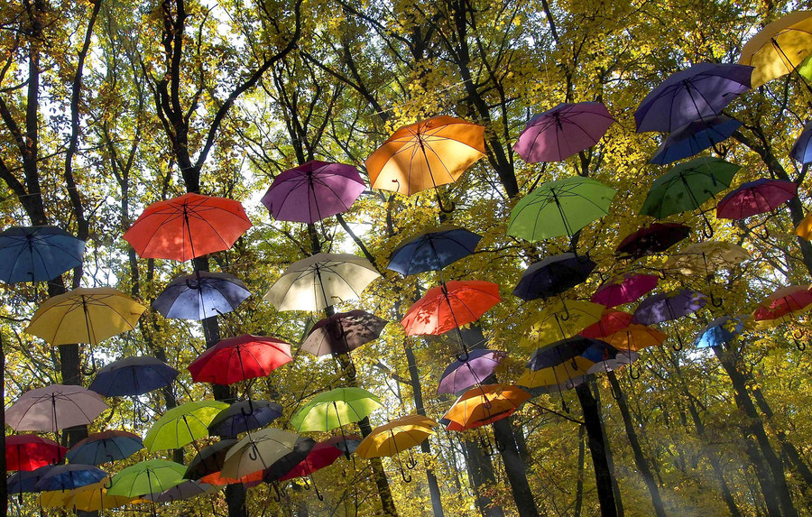 Поющие зонтики. Шербурские зонтики. Шервудские зонтики. Разноцветные зонтики под дождем.