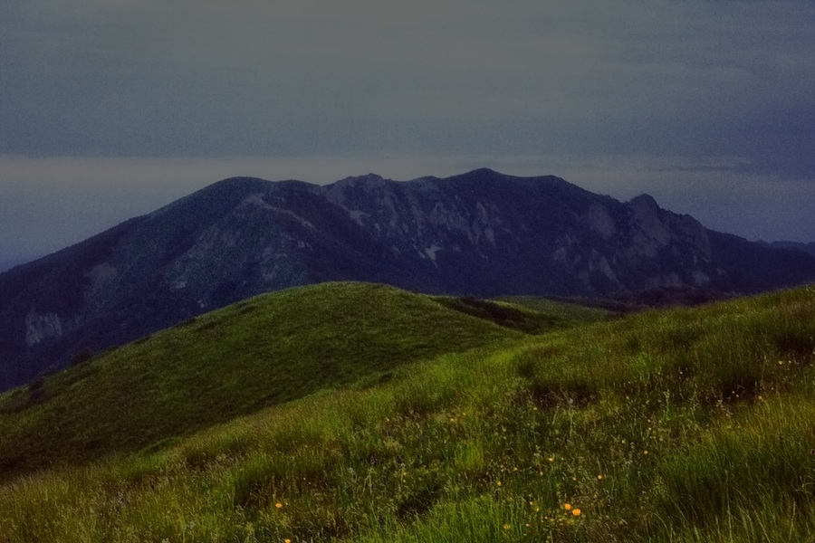 Сочный луг батарейной_(IMG_9260)