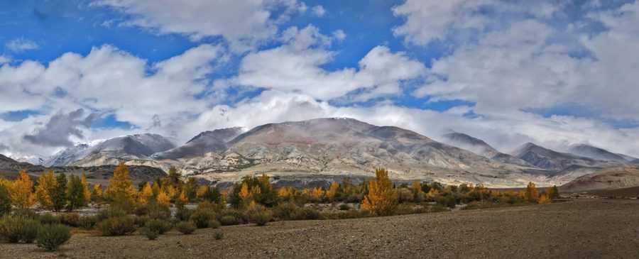 Панорамы Алтая