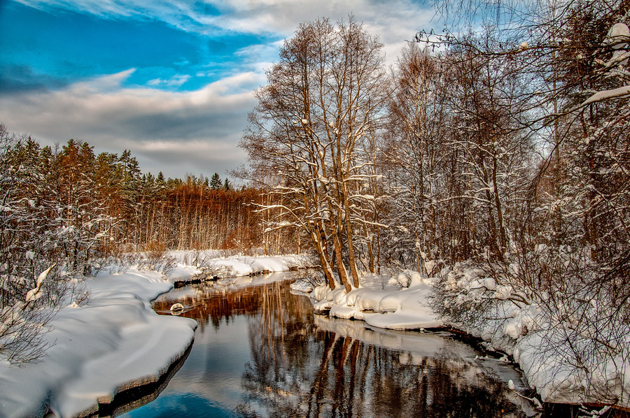 winter-in-the-forest ©Selemir Grig