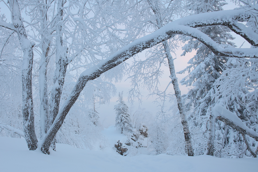 22f278d7-5090-4d70-a1d5-258efc40d342