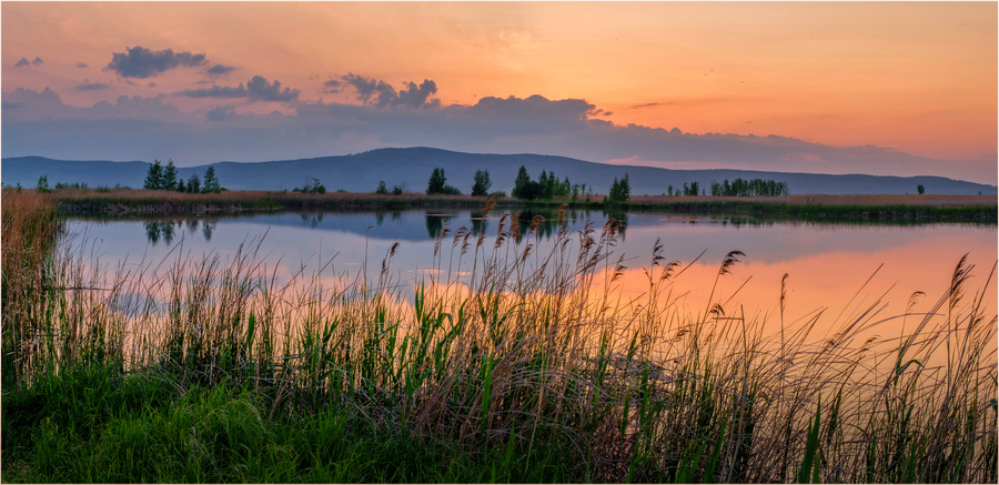 Тишь да благодать....