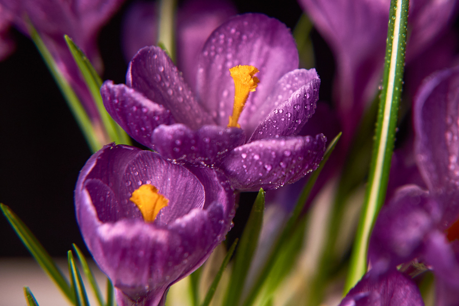 20200304-Capture0005