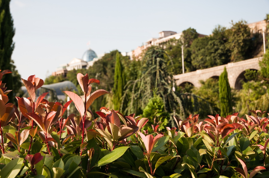 Грузия-3884-001