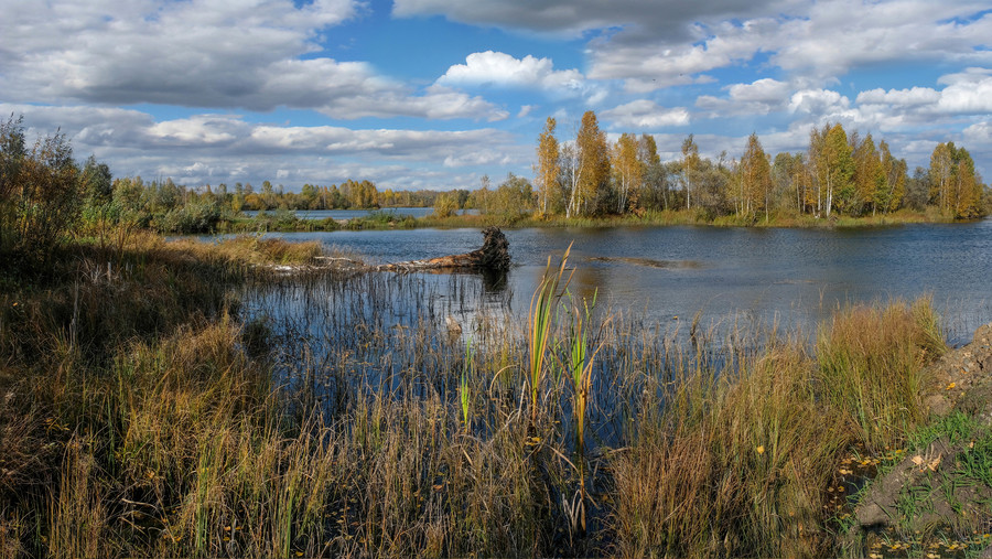 Пейзажи осени