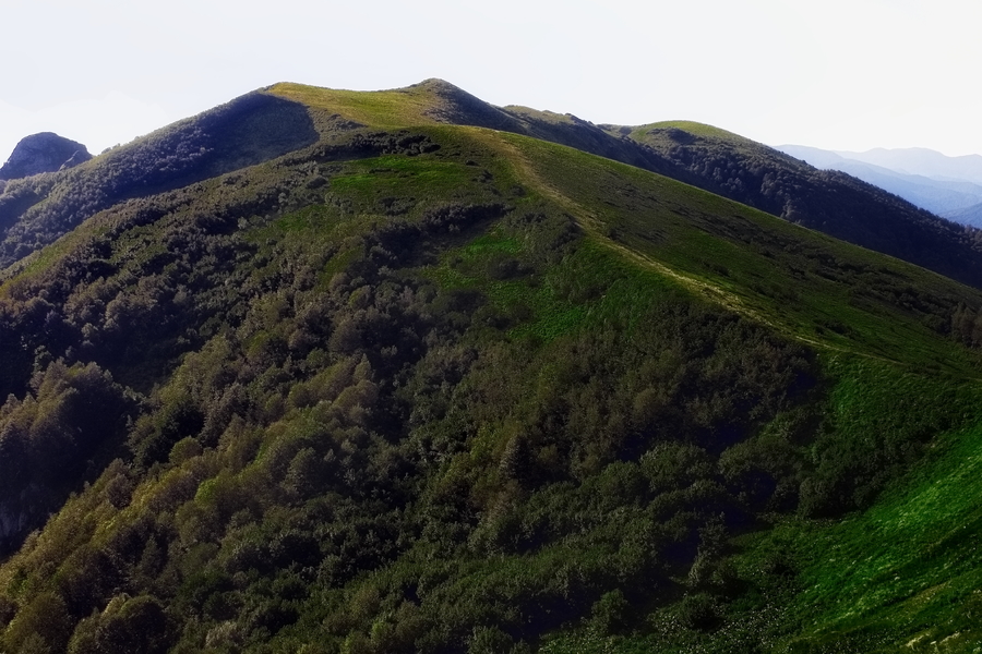 Горные рощи_17_(IMG_9419)